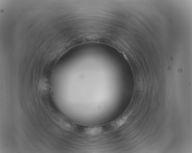 X0000076420135200610202229