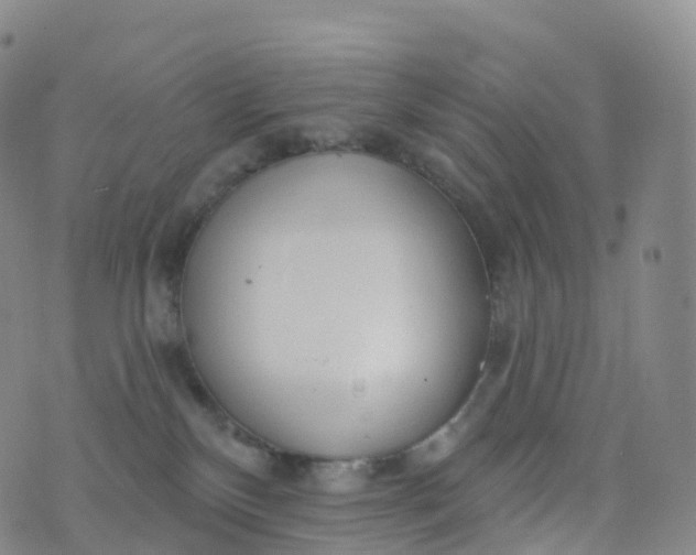 X0000076420136200610202229