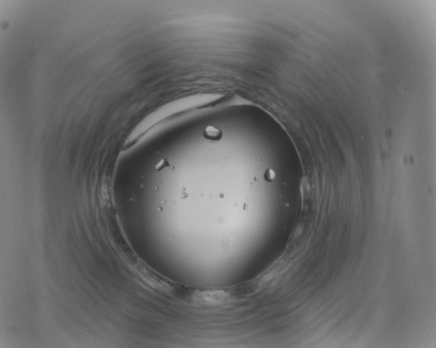 X0000076420137200610202229