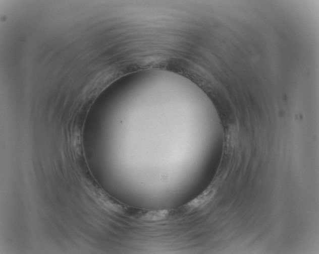 X0000076420138200610202229