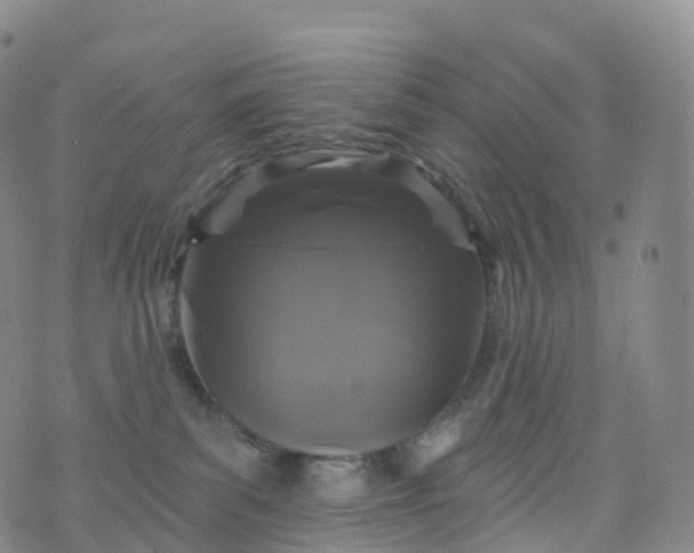 X0000076420139200610202229