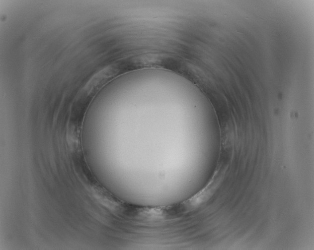 X0000076420140200610202229