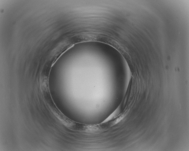 X0000076420141200610202229