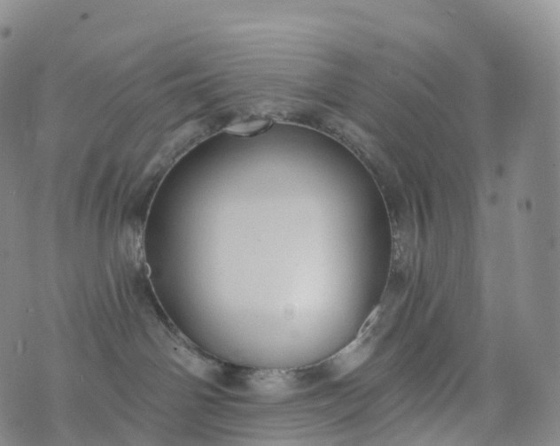 X0000076420142200610202229