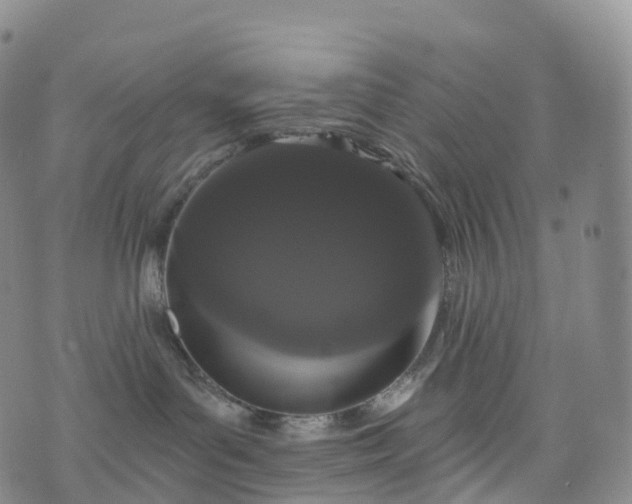 X0000076420143200610202229