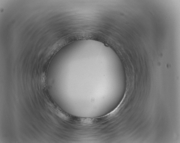 X0000076420144200610202229