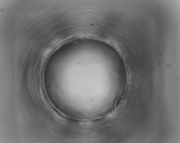 X0000076420145200610202228