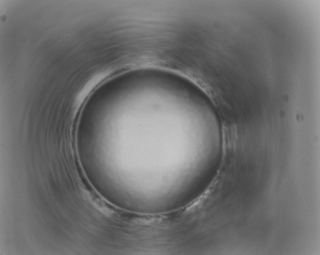 X0000076420147200610202228