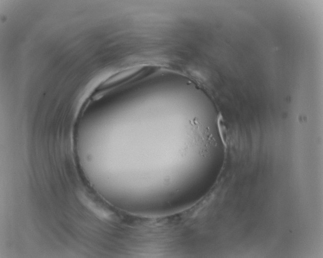 X0000076420148200610202228