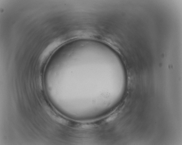 X0000076420149200610202228