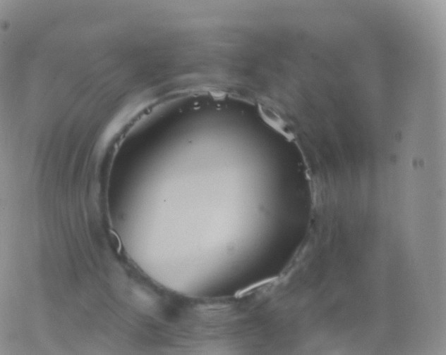 X0000076420150200610202228