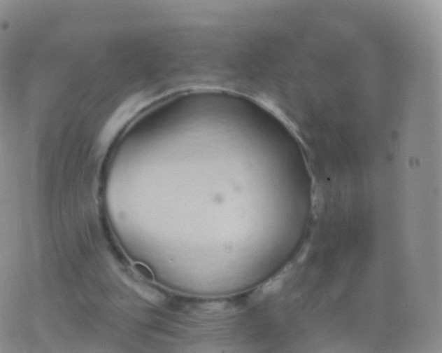 X0000076420151200610202228