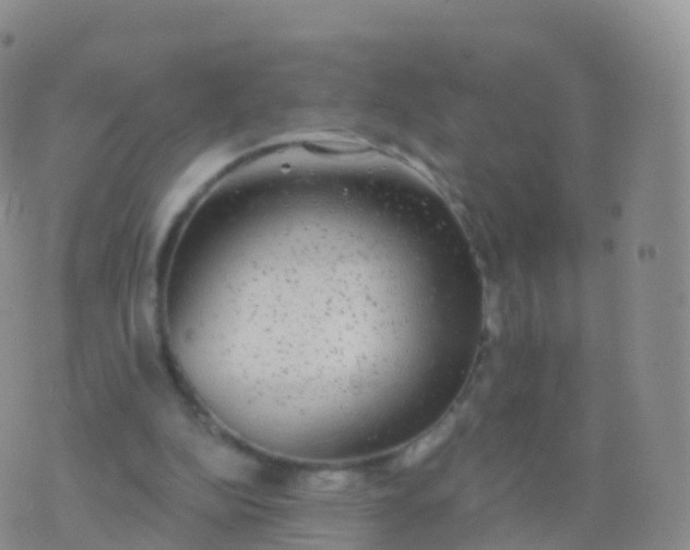 X0000076420152200610202228