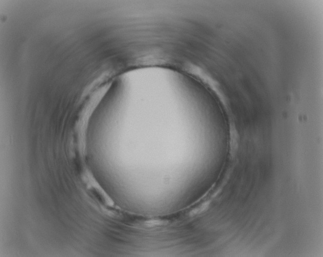 X0000076420153200610202228