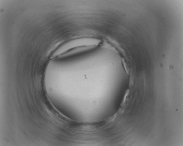 X0000076420154200610202228