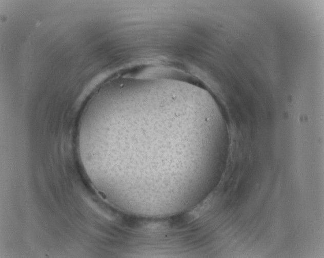 X0000076420155200610202228