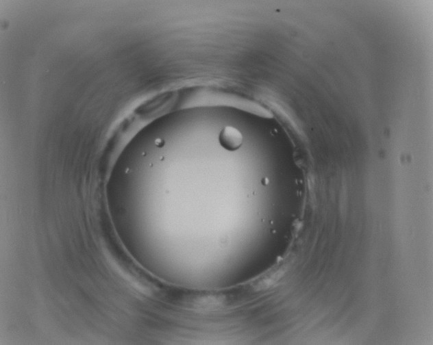 X0000076420156200610202228