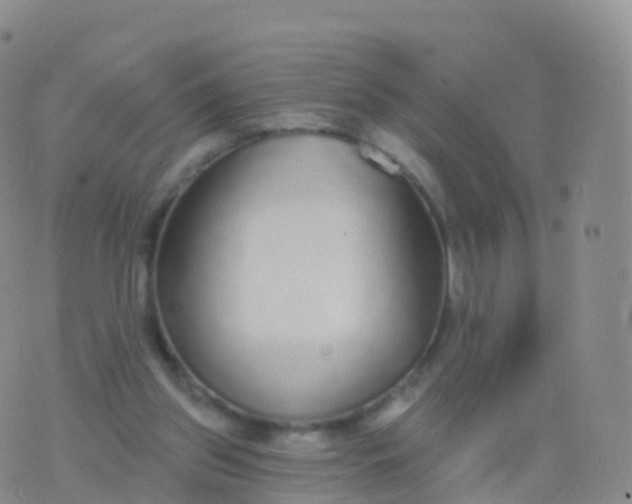 X0000076420157200610202228