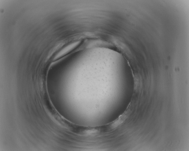 X0000076420158200610202229