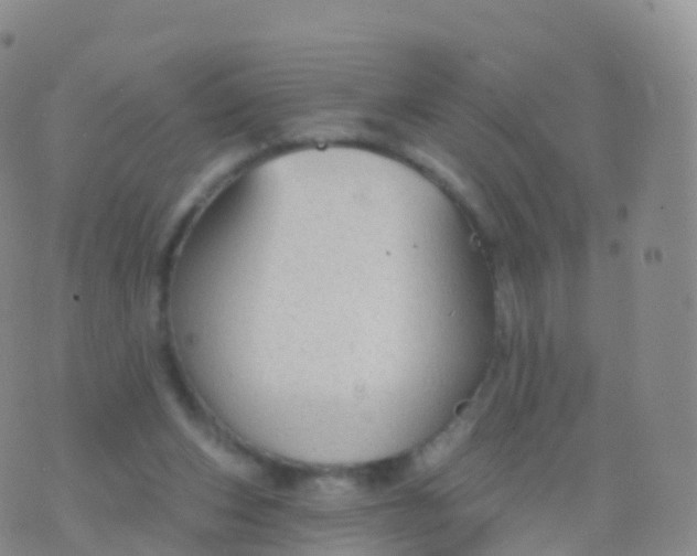 X0000076420159200610202229