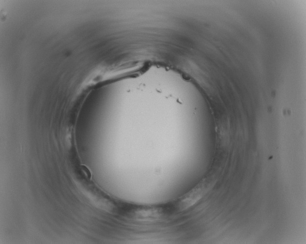 X0000076420160200610202229