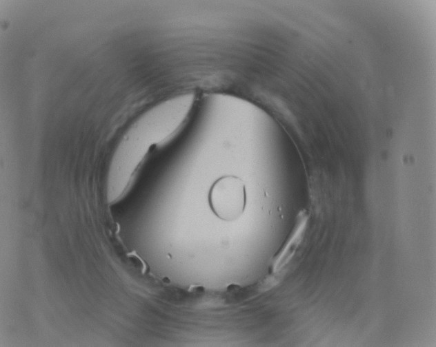 X0000076420162200610202229