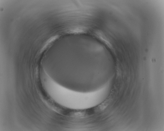 X0000076420163200610202229