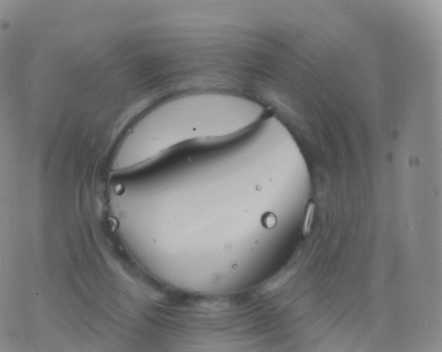 X0000076420164200610202229