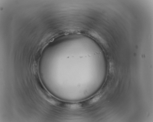 X0000076420165200610202229