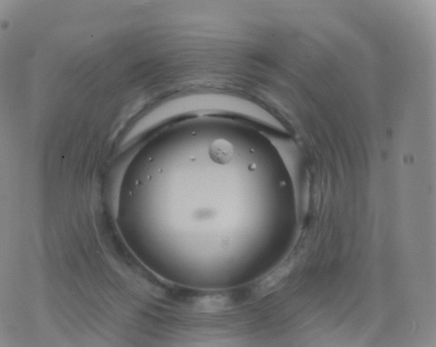 X0000076420168200610202229