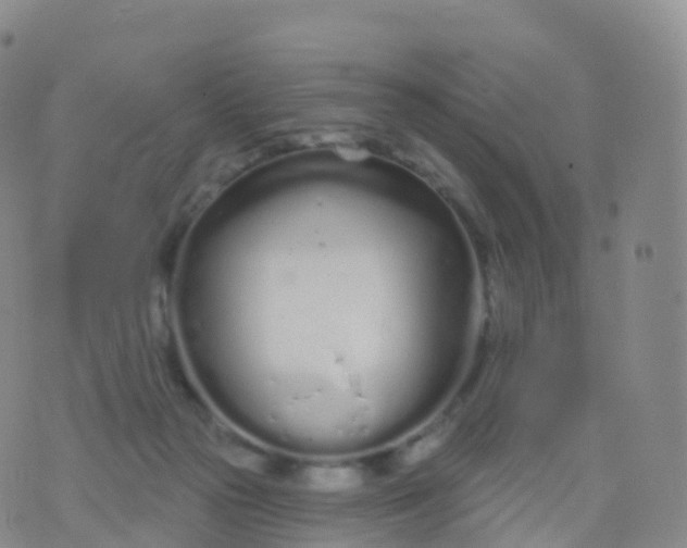 X0000076420169200610202229