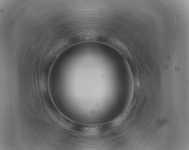 X0000076420170200610202229