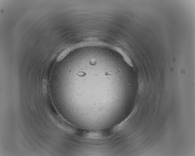 X0000076420171200610202229