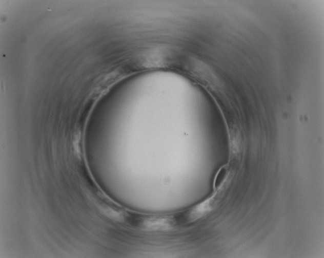 X0000076420175200610202229