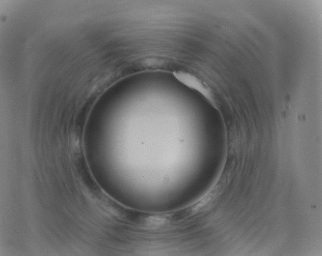 X0000076420176200610202229