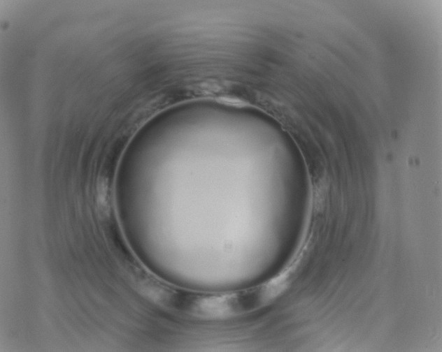 X0000076420178200610202229