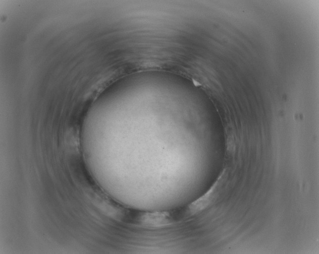 X0000076420179200610202229