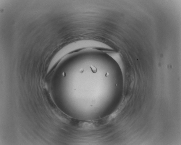 X0000076420180200610202229