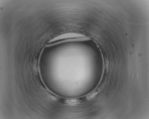 X0000076420181200610202229