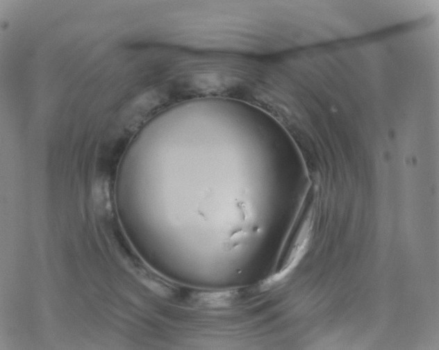 X0000076420182200610202229