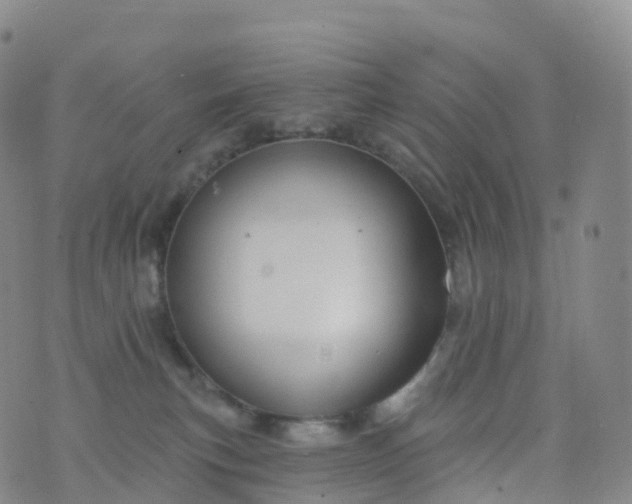 X0000076420183200610202229