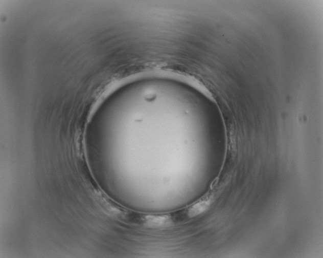 X0000076420185200610202229