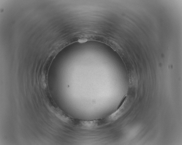 X0000076420187200610202229