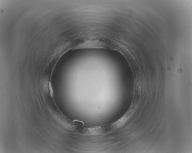 X0000076420188200610202229