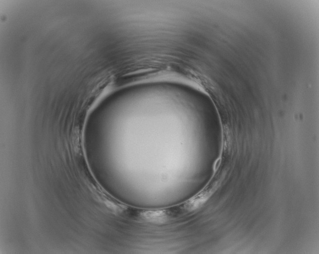 X0000076420189200610202229