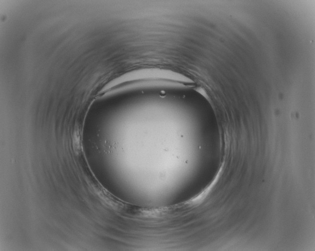 X0000076420190200610202229