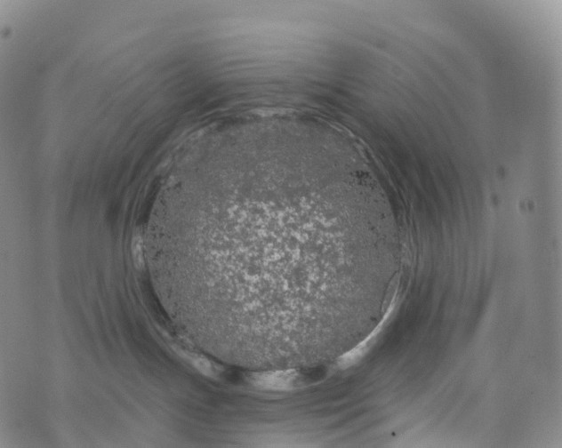 X0000076420191200610202229