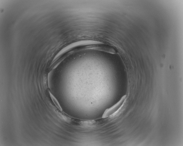 X0000076420192200610202229