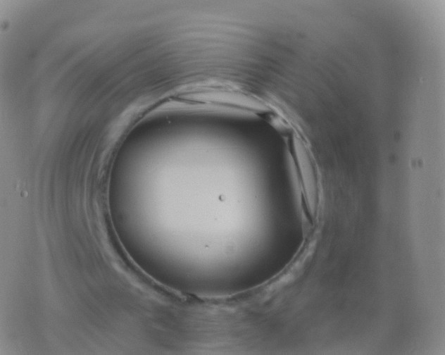 X0000076420193200610202228