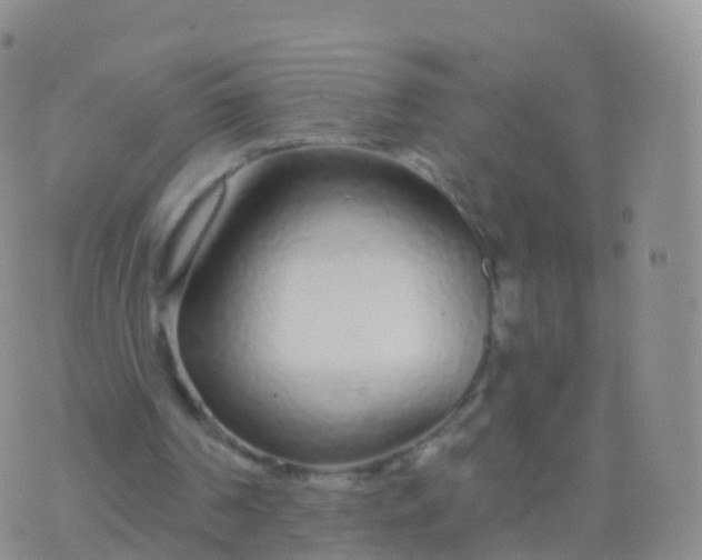 X0000076420194200610202228